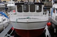 The name of the boat is "Spurven" (sparrow), looks more like a bullfinch to me.